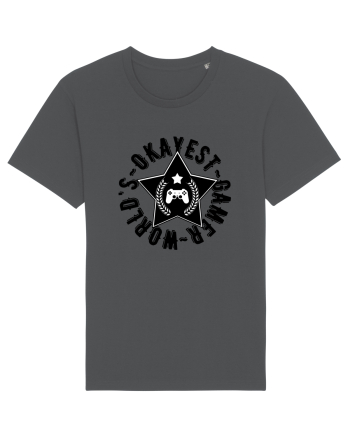 World's Okayest Gamer Anthracite