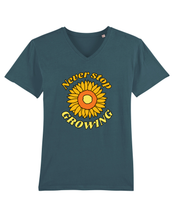 Never Stop Growing Stargazer