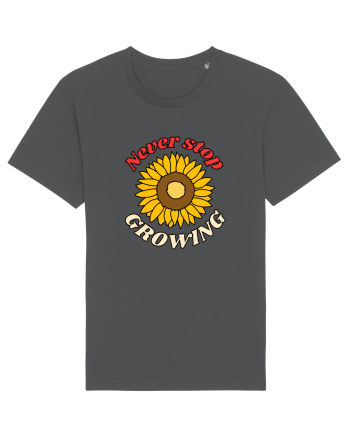 Never Stop Growing Anthracite
