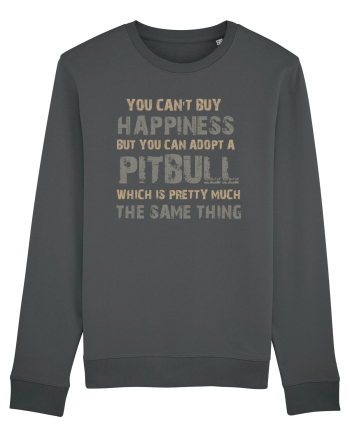 PITBULL Anthracite