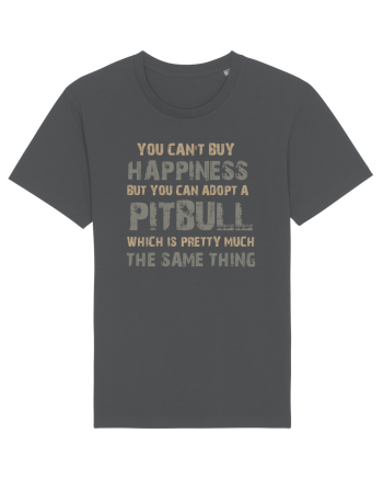 PITBULL Anthracite