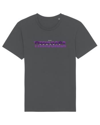 Timisoara Anthracite