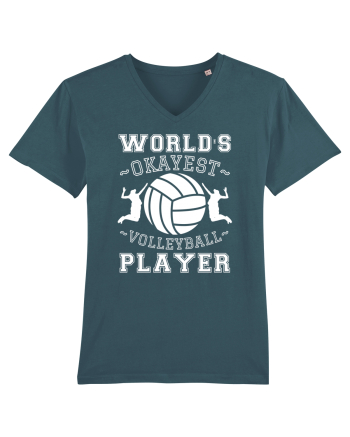 World'S Okayest Volleyball Player Stargazer