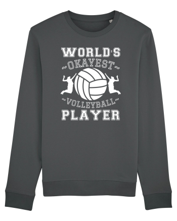 World'S Okayest Volleyball Player Anthracite