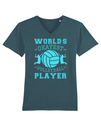 World'S Okayest Volleyball Player Stargazer