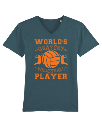 World'S Okayest Volleyball Player Stargazer