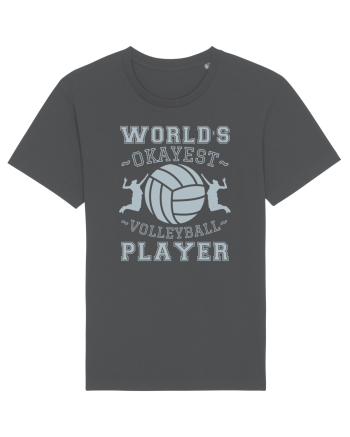 World'S Okayest Volleyball Player Anthracite