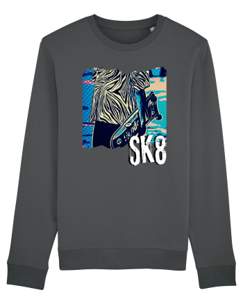 Cool Sk8 Anthracite