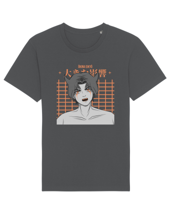Okina Eikyo Anthracite
