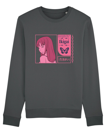 Ikigai Anthracite