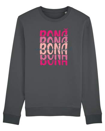 Cea mai bună bonă Anthracite
