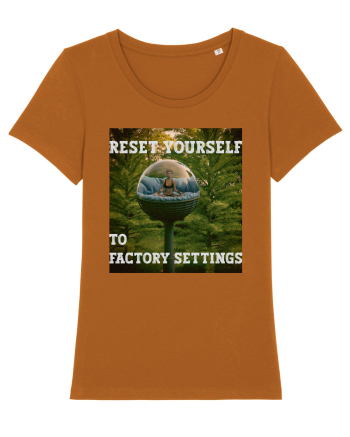 Reset yourself to factory settings Roasted Orange