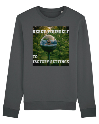 Reset yourself to factory settings Anthracite