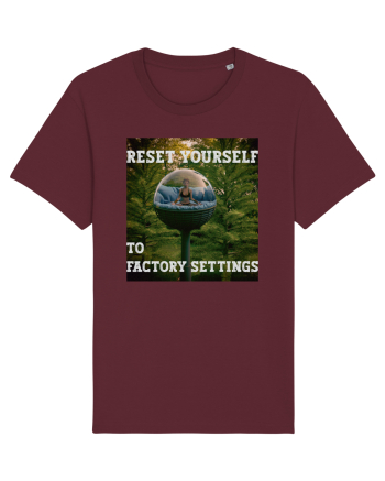 Reset yourself to factory settings Burgundy