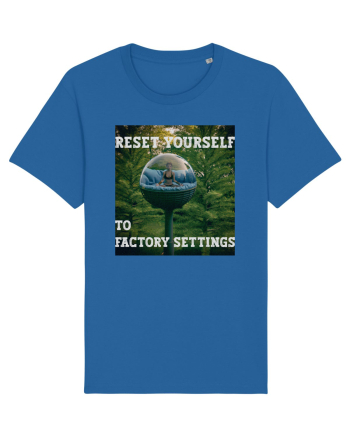 Reset yourself to factory settings Royal Blue