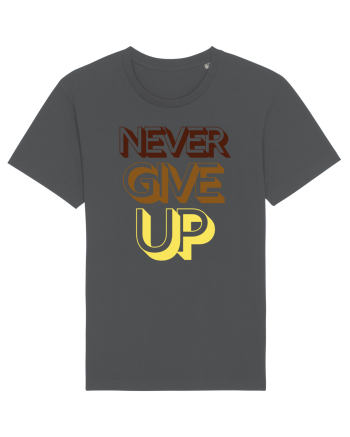 Never Give Up Anthracite
