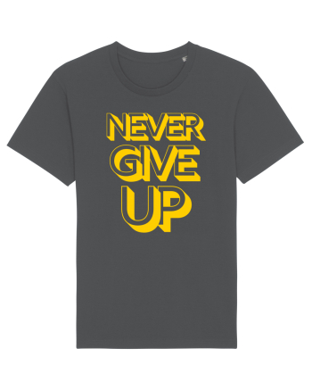 Never Give Up Anthracite