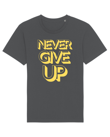 Never Give Up Anthracite