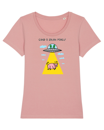 Când o zbura porcu' II Canyon Pink