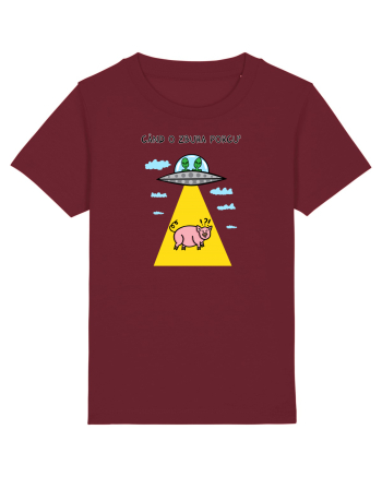 Când o zbura porcu' II Burgundy