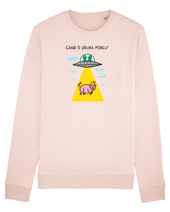 Când o zbura porcu' II Candy Pink