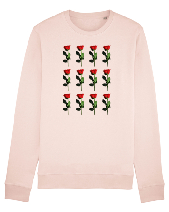 Roses Candy Pink