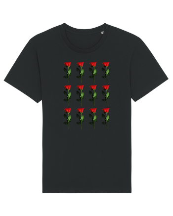Roses Black