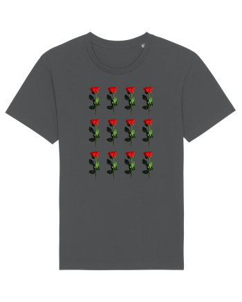 Roses Anthracite