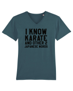 KARATE Tricou mânecă scurtă guler V Bărbat Presenter