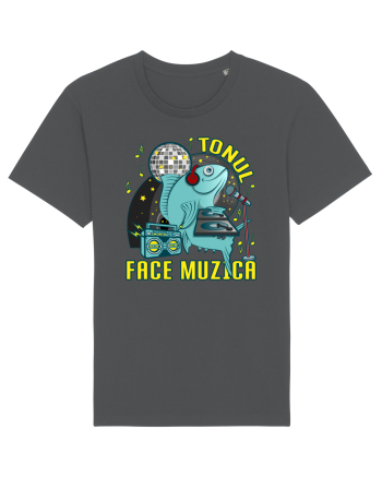 Tonul face muzica v1 Anthracite
