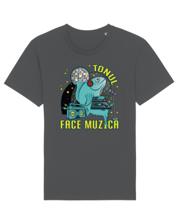 Tonul face muzica v2 Anthracite