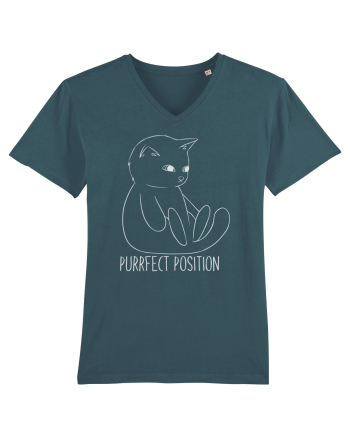 Purrfect Position Stargazer