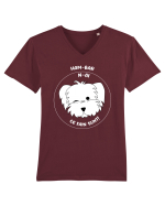 Ham-bar n-ai ce fain sunt! Tricou mânecă scurtă guler V Bărbat Presenter