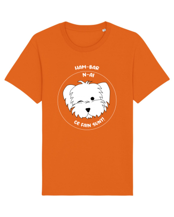 Ham-bar n-ai ce fain sunt! Bright Orange