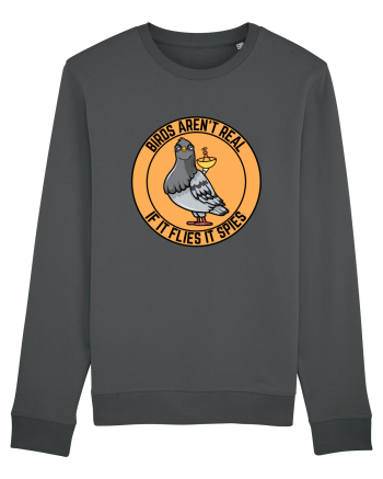 Birds Aren't Real Anthracite