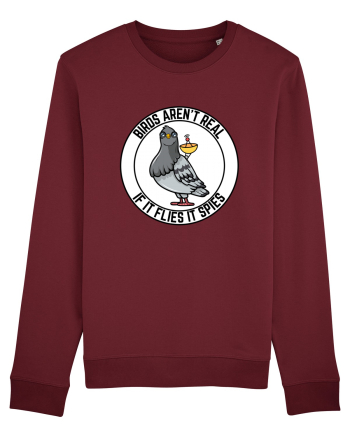 Birds Aren't Real Burgundy