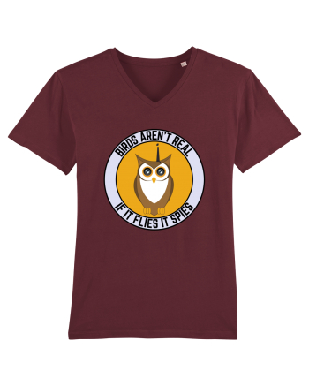 Birds Aren't Real Burgundy