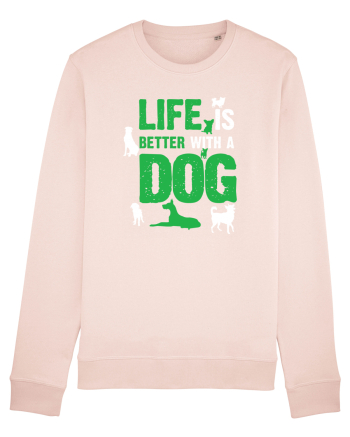 DOG Candy Pink