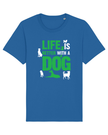 DOG Royal Blue