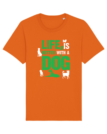 DOG Bright Orange