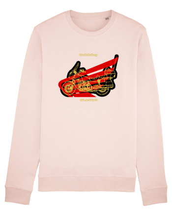Golden Motorcycle 1 Candy Pink