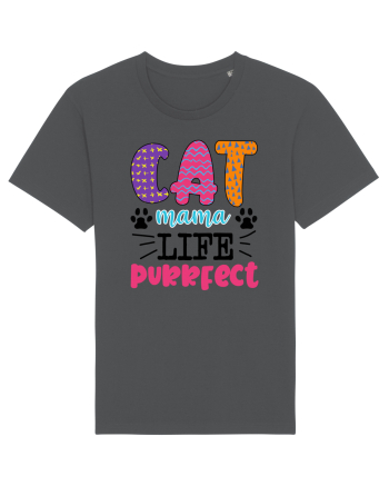 Best Cat Anthracite