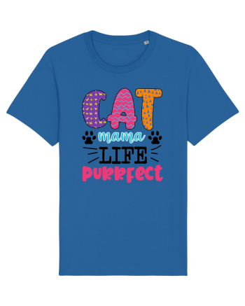 Best Cat Royal Blue