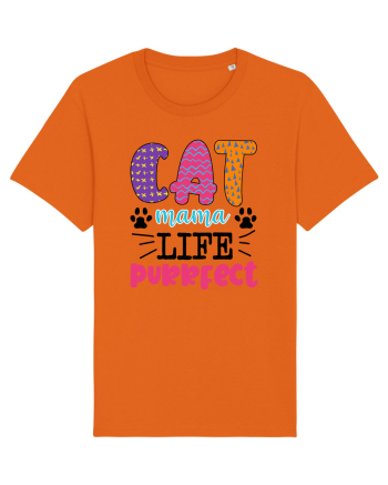 Best Cat Bright Orange