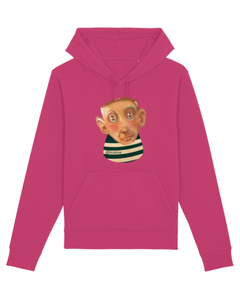 PICASSO Raspberry
