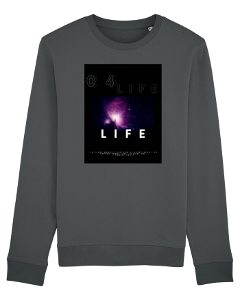 life2 Anthracite