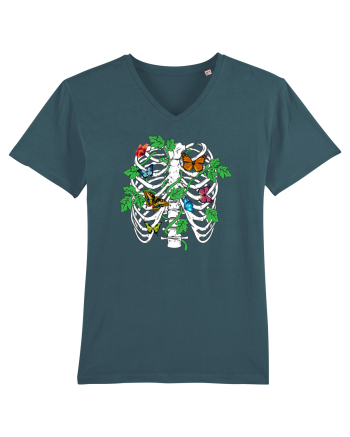 Butterfly ribcage Stargazer