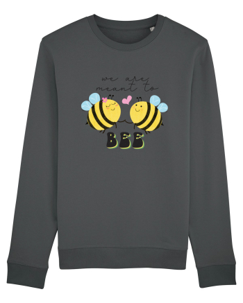 We are Meant to Bee Anthracite