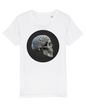 Craniu (cu creier) skullbrain 01 White