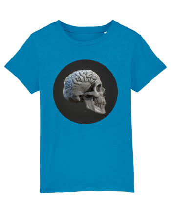 Craniu (cu creier) skullbrain 01 Azur